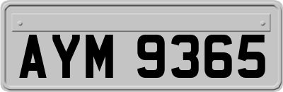 AYM9365