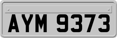 AYM9373