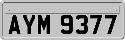 AYM9377