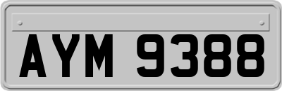AYM9388