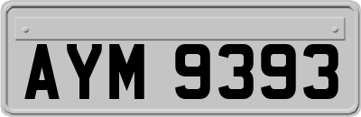 AYM9393