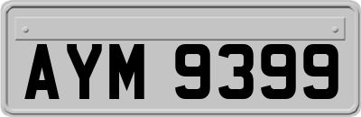 AYM9399