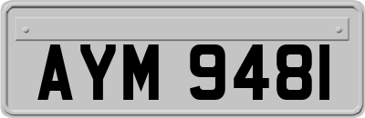 AYM9481