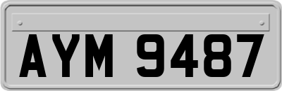 AYM9487