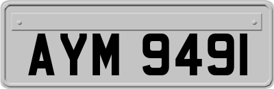 AYM9491