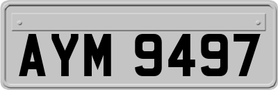 AYM9497