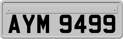 AYM9499