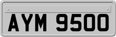 AYM9500