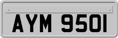 AYM9501
