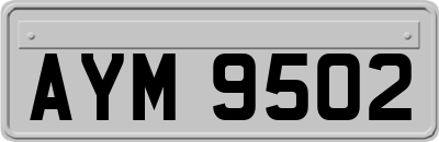 AYM9502