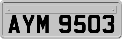 AYM9503