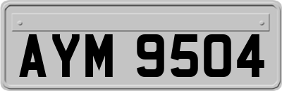 AYM9504