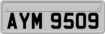 AYM9509