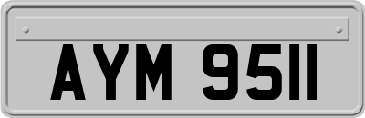 AYM9511