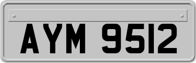 AYM9512