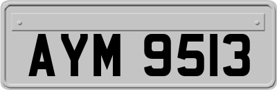AYM9513
