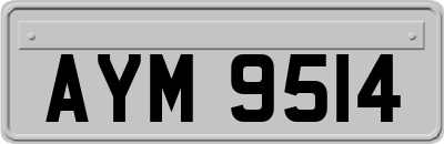 AYM9514