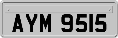 AYM9515