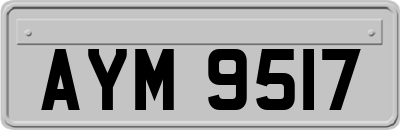 AYM9517