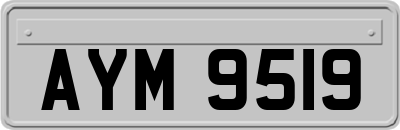 AYM9519