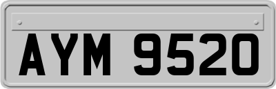 AYM9520