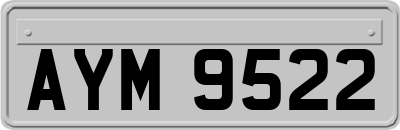 AYM9522