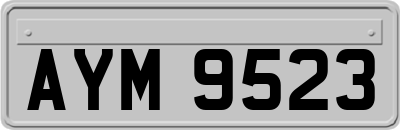 AYM9523