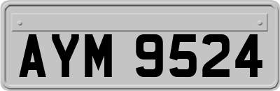 AYM9524
