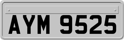AYM9525