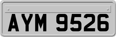 AYM9526