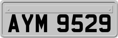 AYM9529