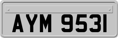 AYM9531