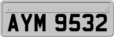 AYM9532