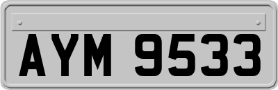AYM9533