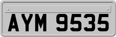 AYM9535