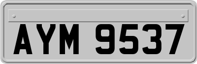 AYM9537