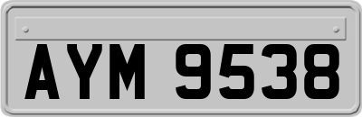 AYM9538