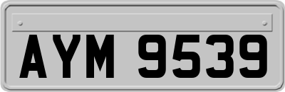 AYM9539