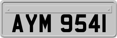 AYM9541