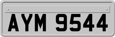 AYM9544