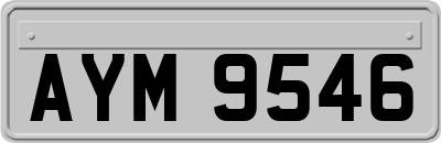 AYM9546