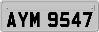 AYM9547