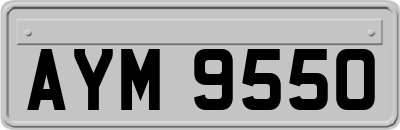 AYM9550