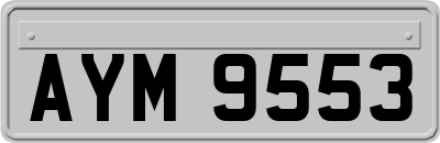AYM9553