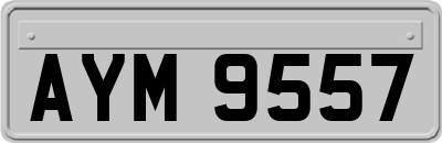 AYM9557