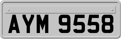 AYM9558