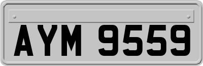 AYM9559