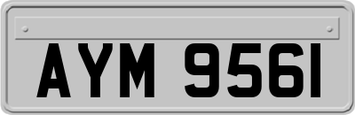 AYM9561