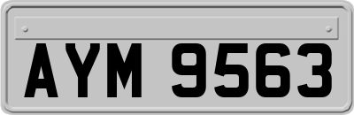 AYM9563