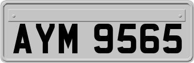 AYM9565
